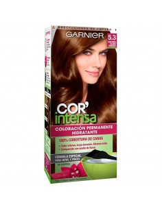 KIT CON AMONIACO GARNIER...