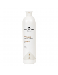 SHAMPOO LA PUISSANCE...